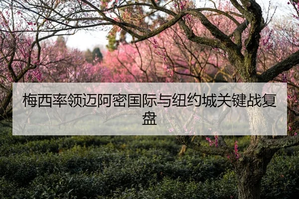梅西率领迈阿密国际与纽约城关键战复盘 - Anbo